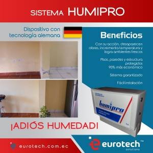 PHOTO-2022-10-24-19-47-31-300x300