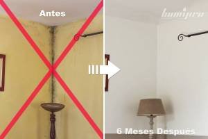 tratamiento-humedad-bilbao-300x200