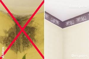 tratamiento-humedad-madrid-300x200