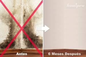 tratamiento-humedad-vitoria-300x200